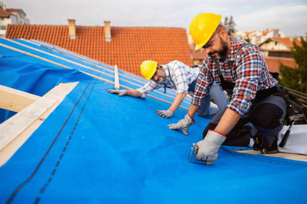 Best Metal Roofing Installation  in Champion Heights, OH